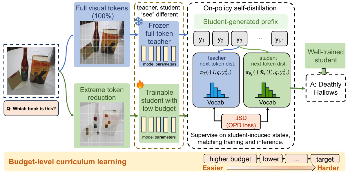 LT-OPD framework with a low-token student, a frozen full-token teacher, and a token-budget curriculum
