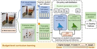 LT-OPD framework with a low-token student, a frozen full-token teacher, and a token-budget curriculum